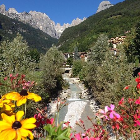 Villa Ginestra Molveno Kamer foto