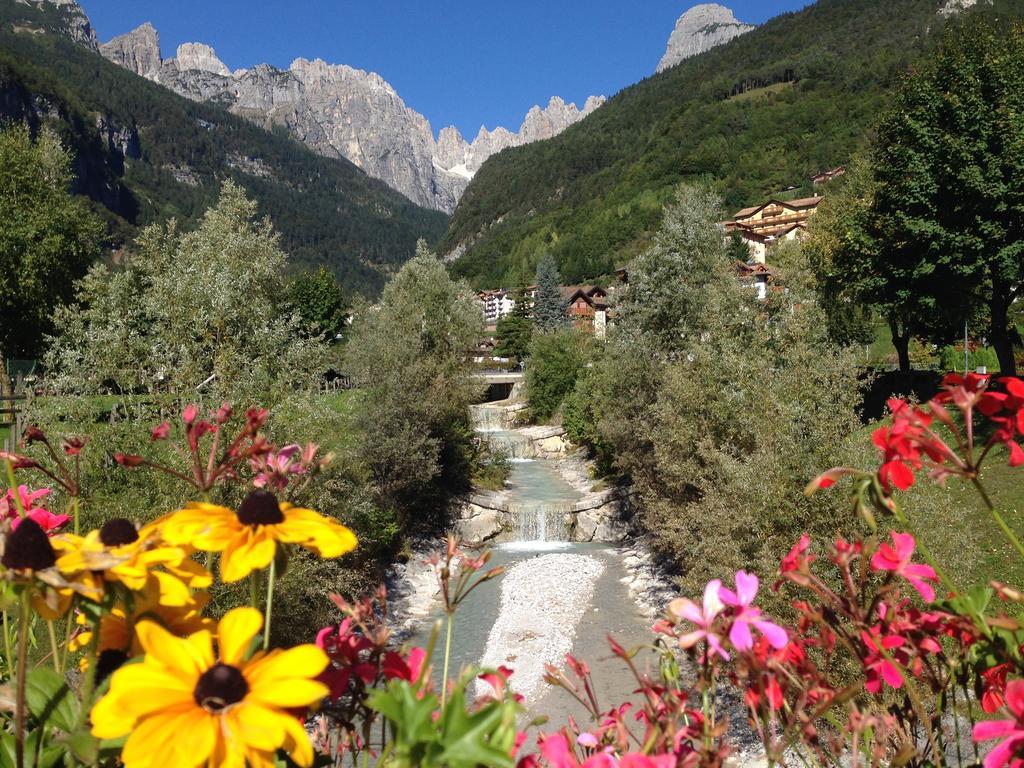 Villa Ginestra Molveno Kamer foto